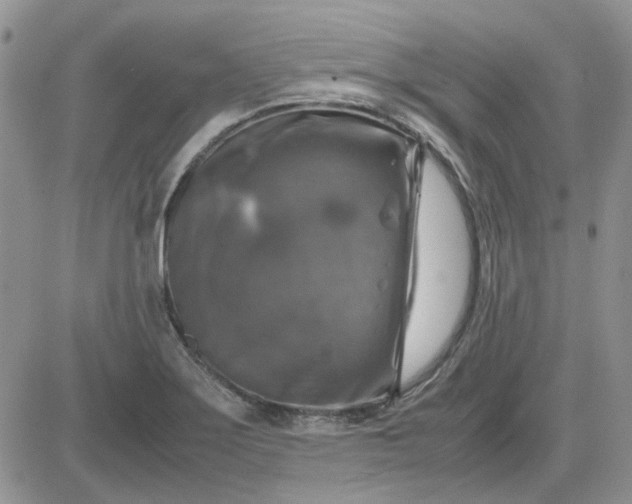 X0000081471275200701261954