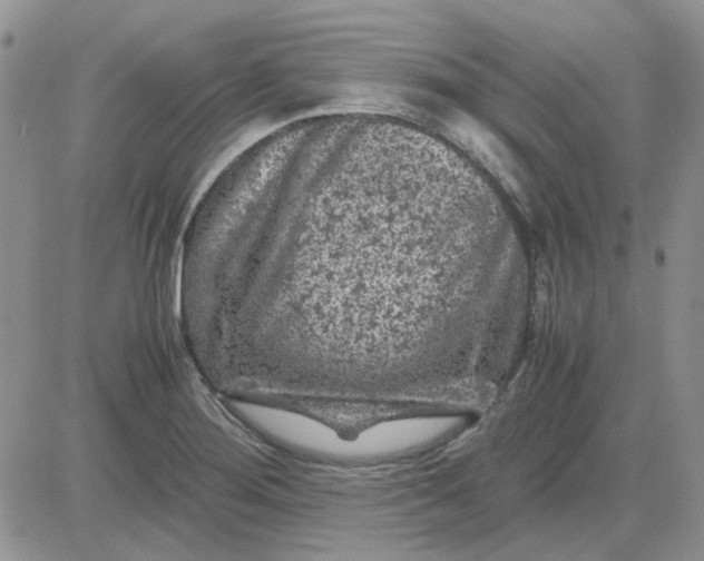 X0000081471276200701261954