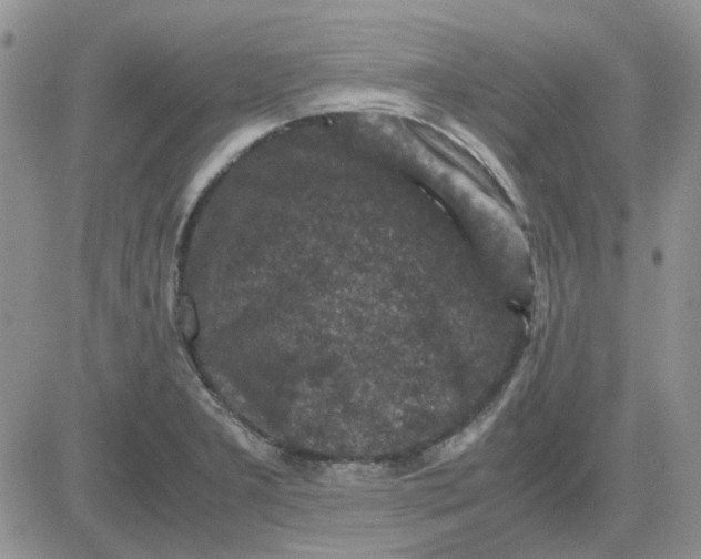 X0000081471277200701261954