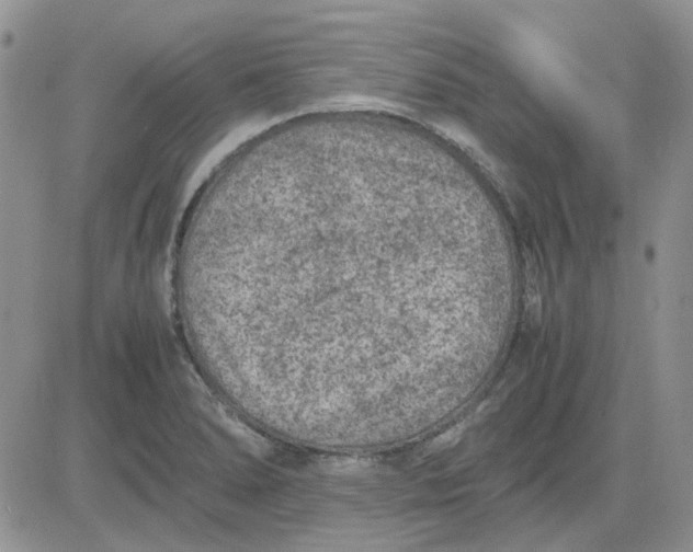 X0000081471278200701261954