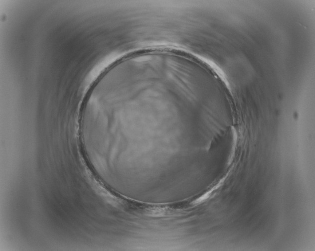 X0000081471279200701261954