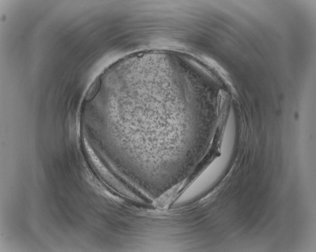 X0000081471280200701261954