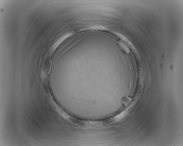 X0000081471281200701261954