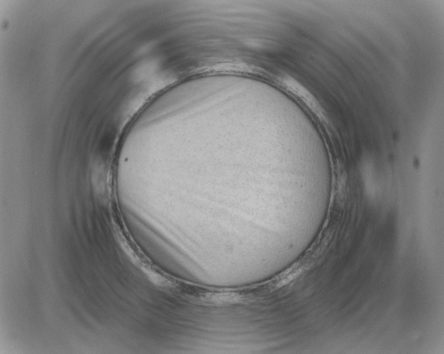 X0000081471282200701261954