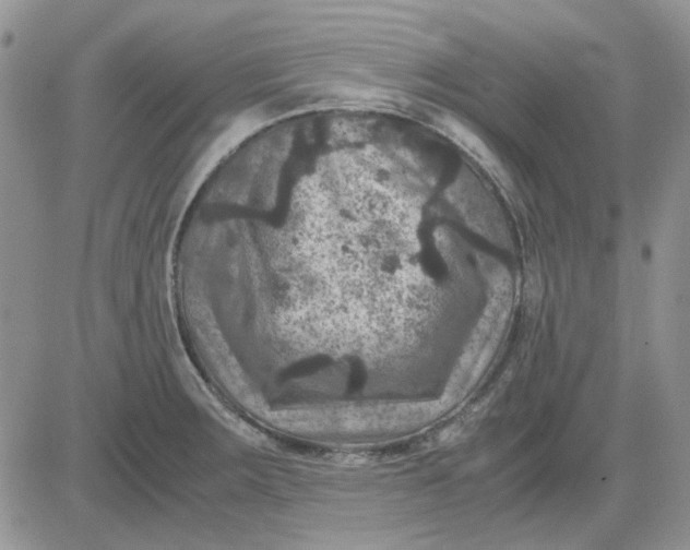 X0000081471283200701261954