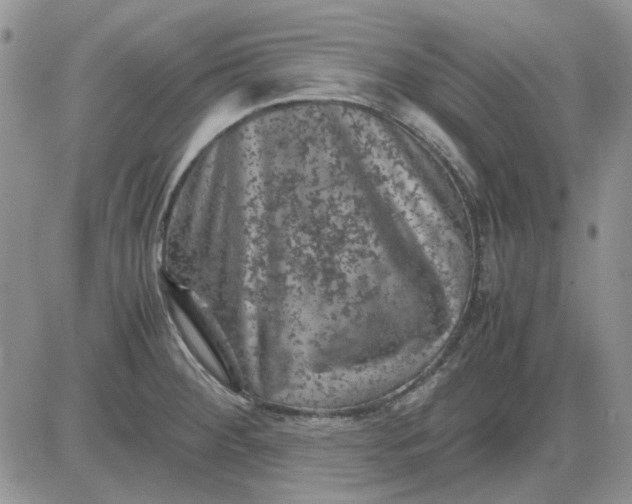 X0000081471284200701261954