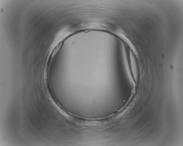 X0000081471285200701261954