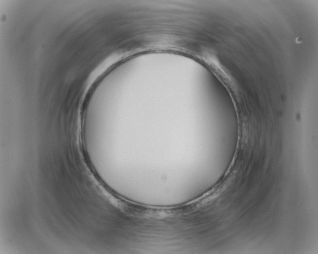 X0000081471286200701261953