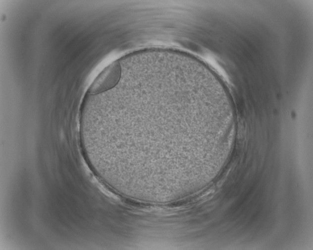 X0000081471287200701261953