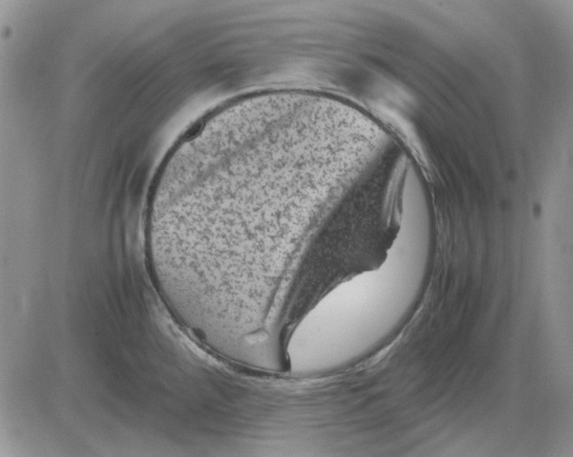 X0000081471288200701261953