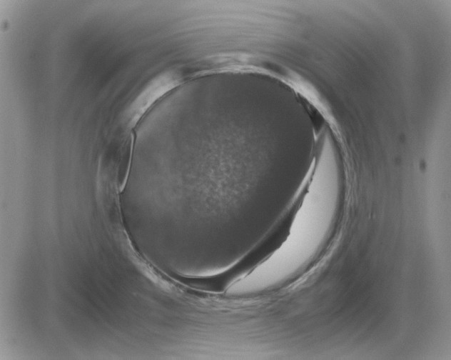 X0000081471289200701261953