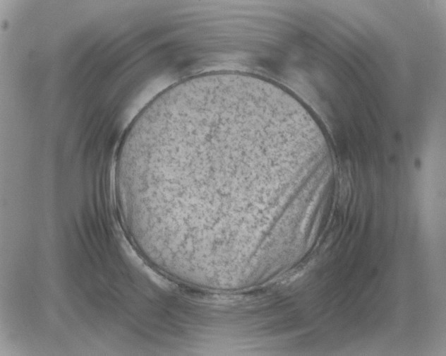 X0000081471290200701261953