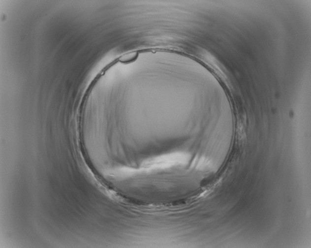 X0000081471291200701261953