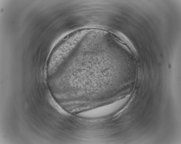 X0000081471292200701261953