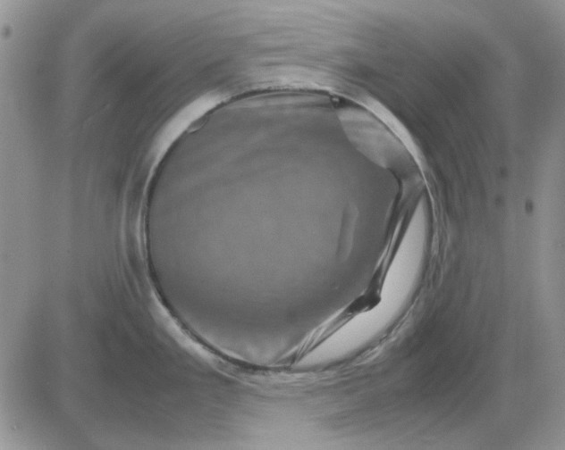 X0000081471293200701261953