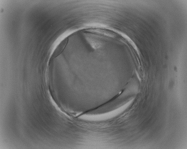 X0000081471295200701261953