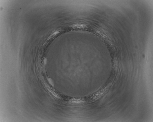 X0000081471297200701261953