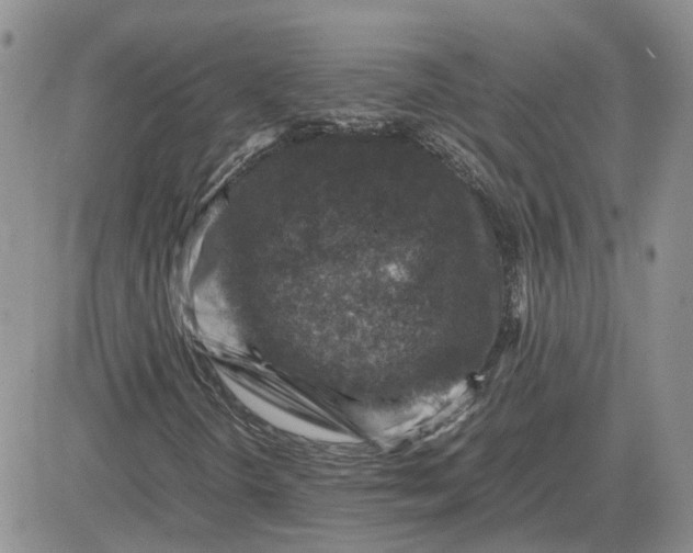 X0000081471298200701261953