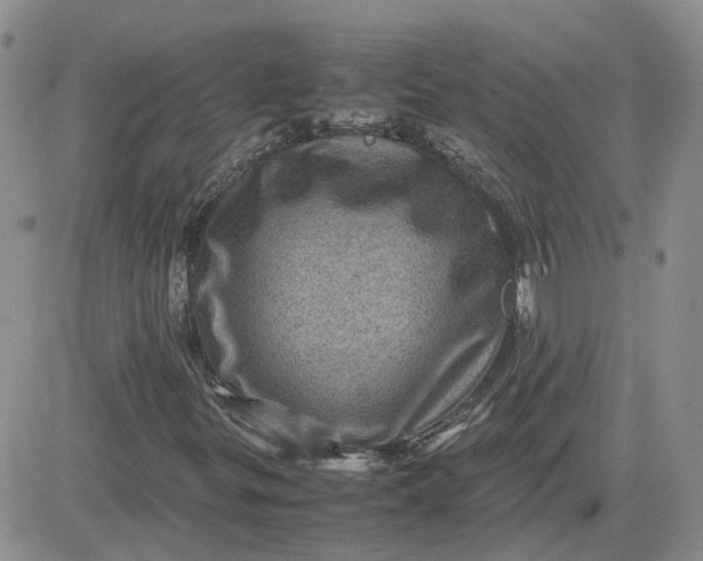 X0000081471299200701261953