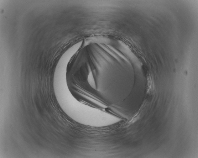 X0000081471300200701261953