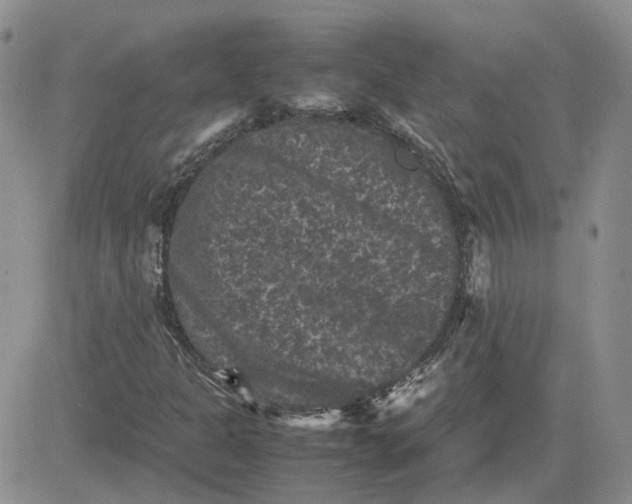 X0000081471301200701261953