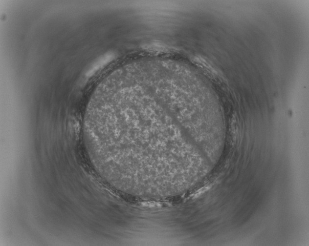 X0000081471302200701261953