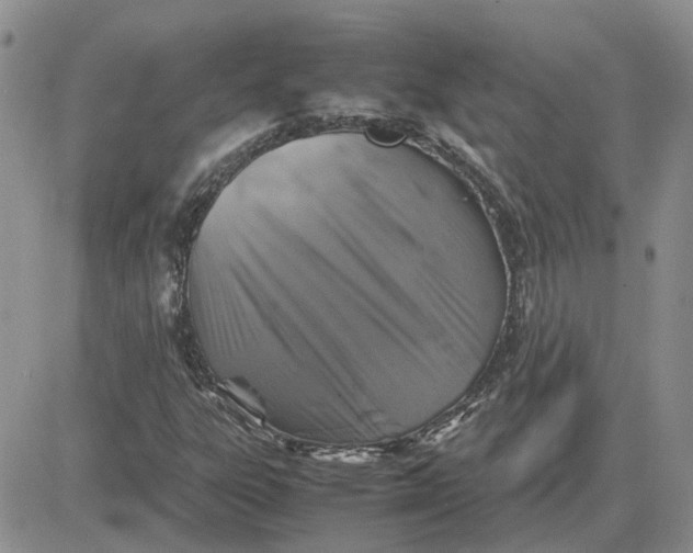 X0000081471303200701261953