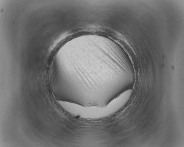 X0000081471304200701261953