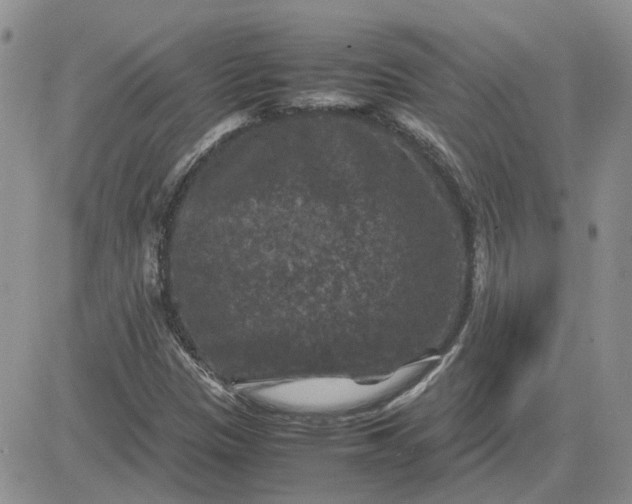 X0000081471305200701261953