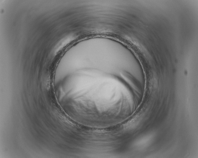 X0000081471306200701261953