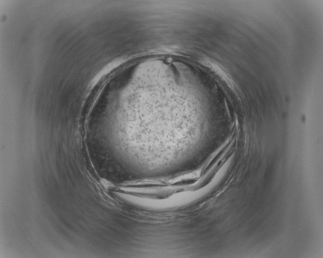 X0000081471308200701261953