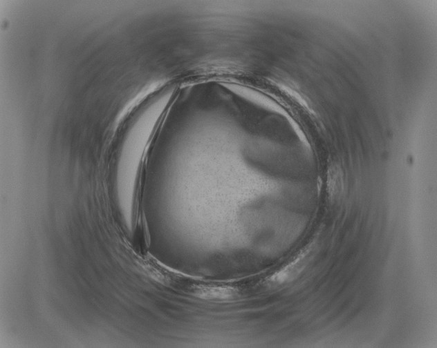 X0000081471309200701261953