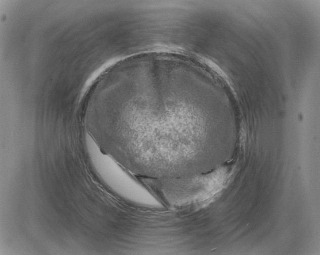 X0000081471310200701261953