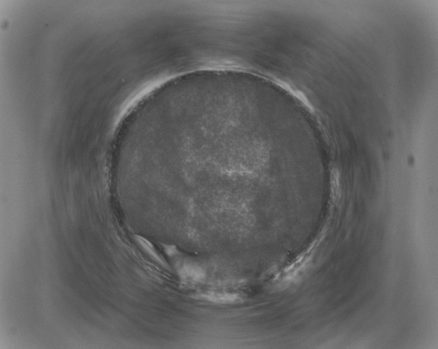 X0000081471311200701261953