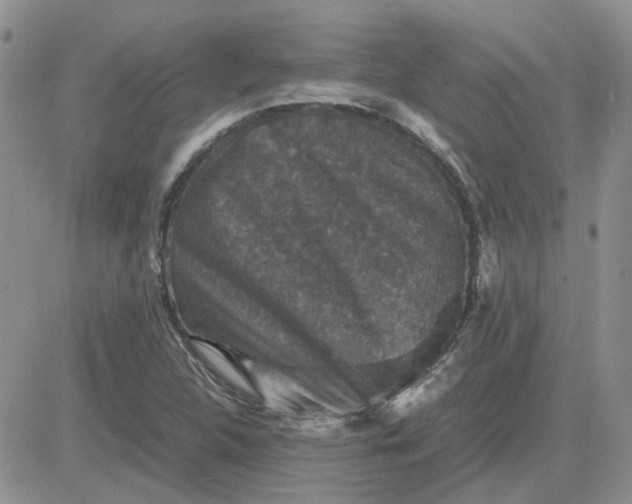 X0000081471312200701261953