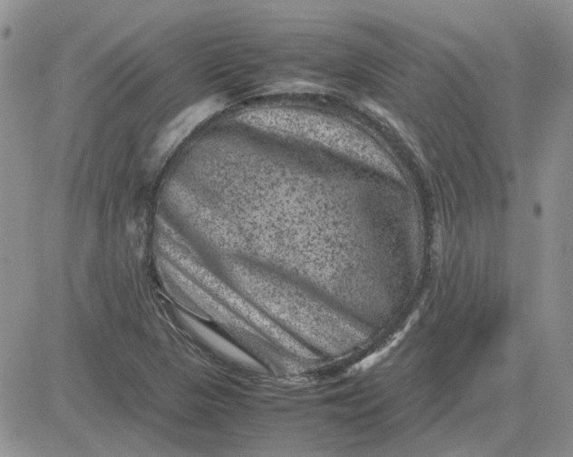 X0000081471313200701261953