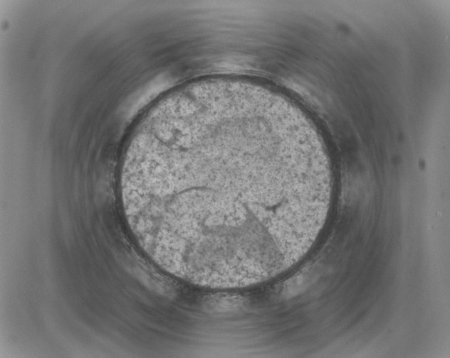 X0000081471314200701261953