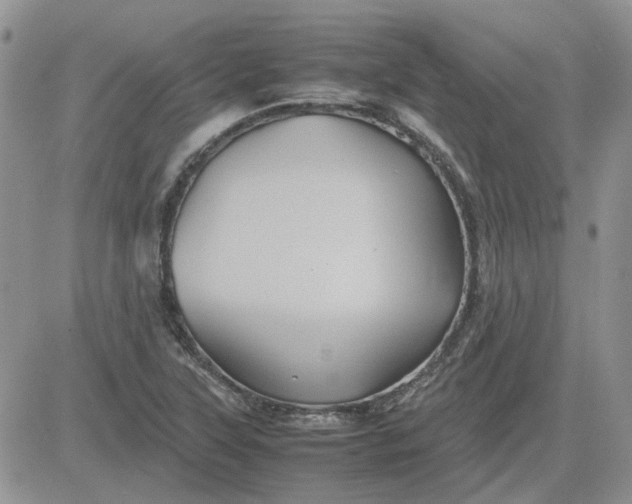 X0000081471315200701261953