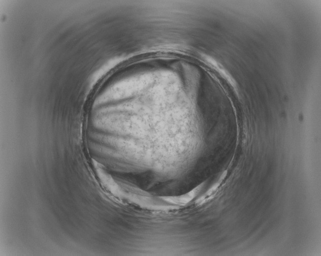 X0000081471316200701261953