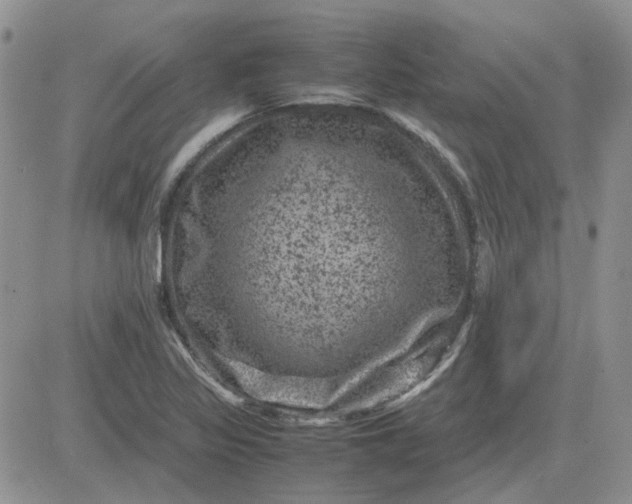 X0000081471317200701261953