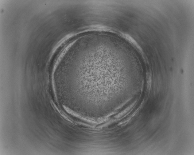 X0000081471318200701261953