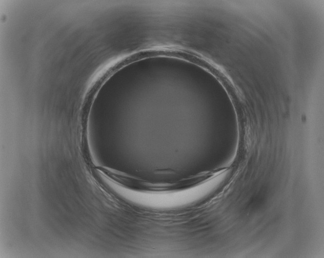 X0000081471319200701261953