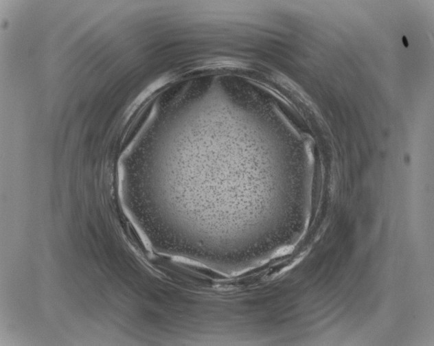 X0000081471321200701261953