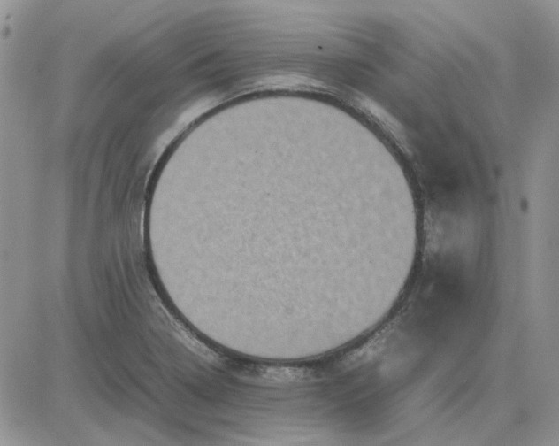 X0000081471322200701261953