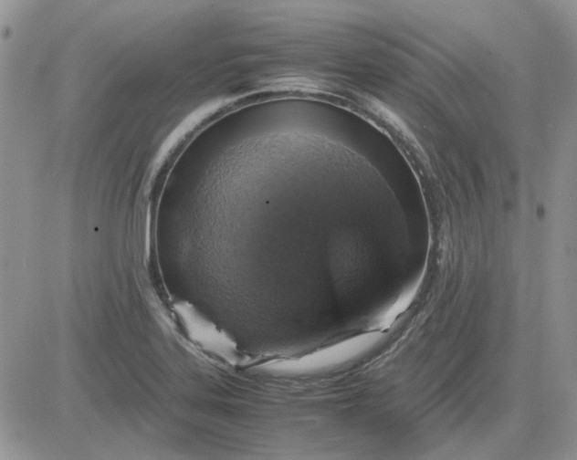 X0000081471323200701261953