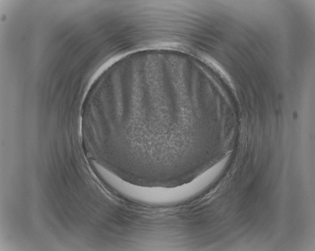 X0000081471324200701261953