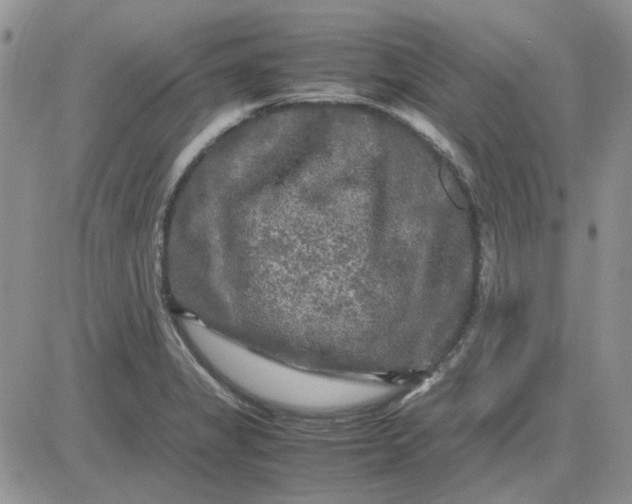 X0000081471325200701261953