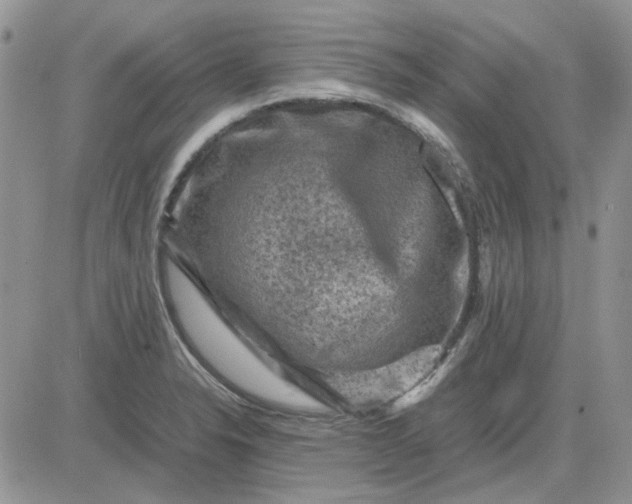 X0000081471326200701261953