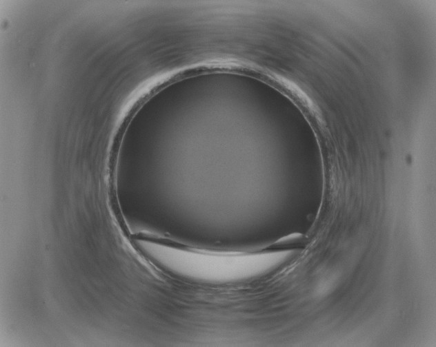 X0000081471327200701261953