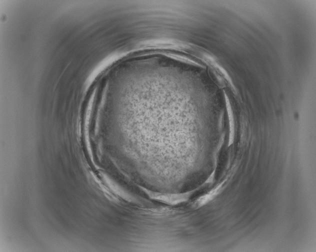 X0000081471328200701261953